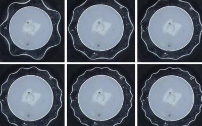 The first observation of a stable torus of fluid’s resonance frequencies