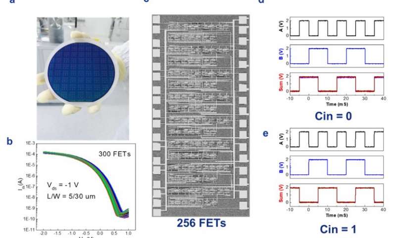 Study highlights the potential of nanotube digital electronics