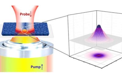 Study unveils new spatiotemporal dynamics of carriers in perovskite thin films