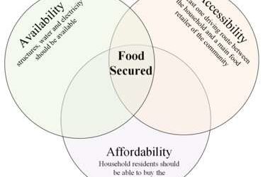 A new approach to address food security issues after natural disasters