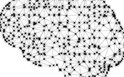 CruzAffect: a feature-rich approach to characterize happiness