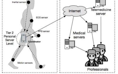 A new artificial neural network framework for gait based biometrics