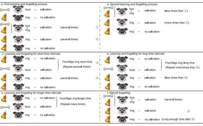 A new memristor-based neural network inspired by the notion of associative memory