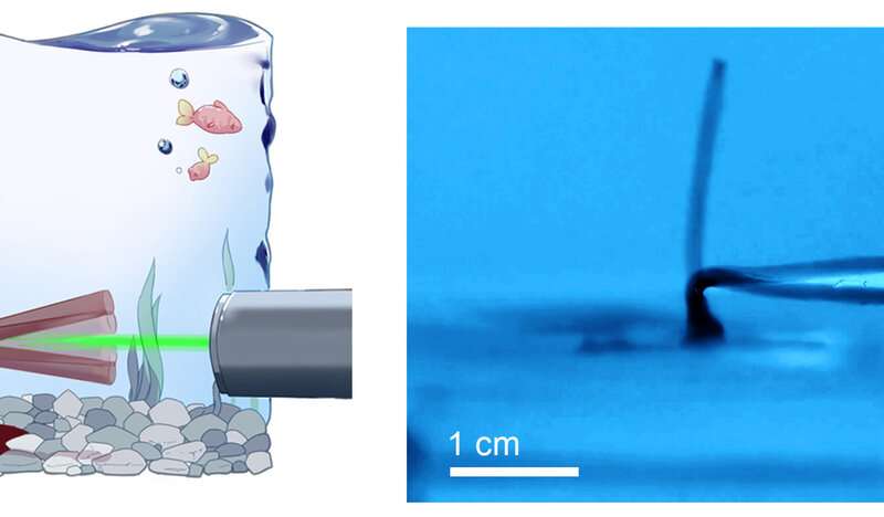 A soft phototactic swimming robot built using a self-sustained hydrogel oscillator