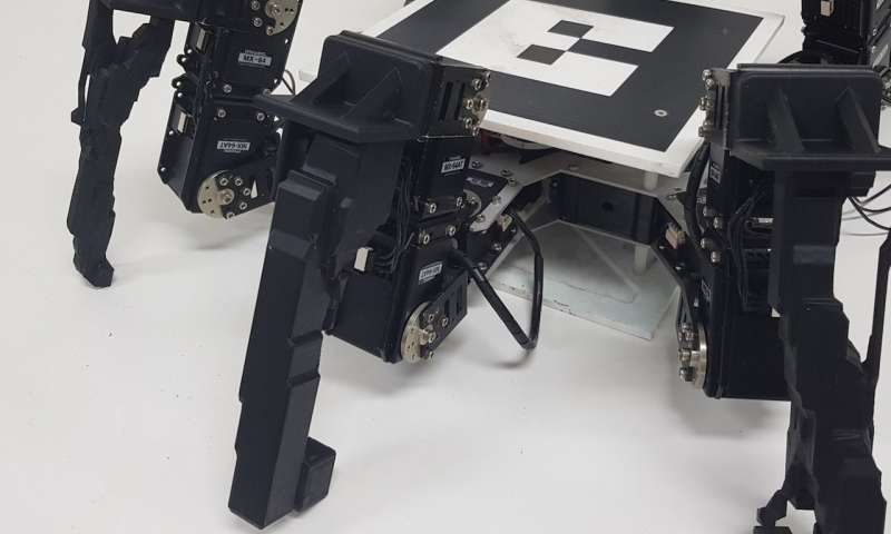 Evolving the physical structure of robots to enhance performance in different environments