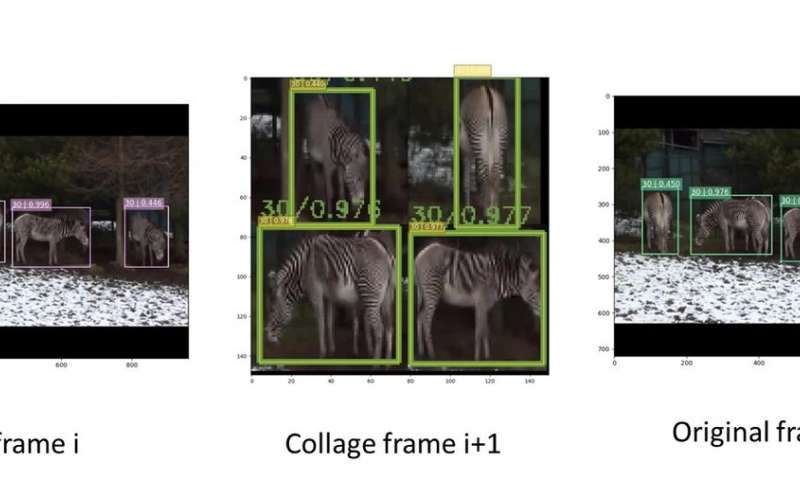 Fast object detection in videos using region-of-interest packing