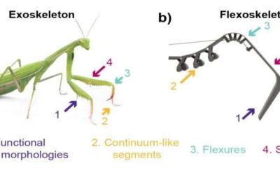 Flexoskeleton printing: Fabricating flexible exoskeletons for insect-inspired robots