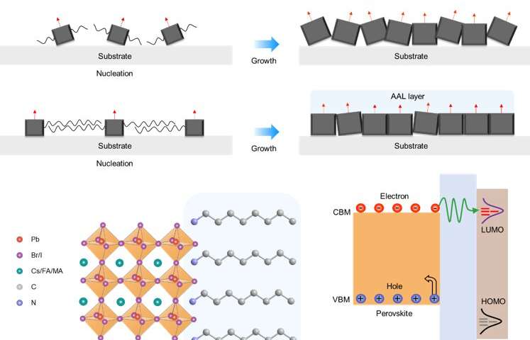 Inverted perovskite solar cells with a power conversion efficiency of 22.3%