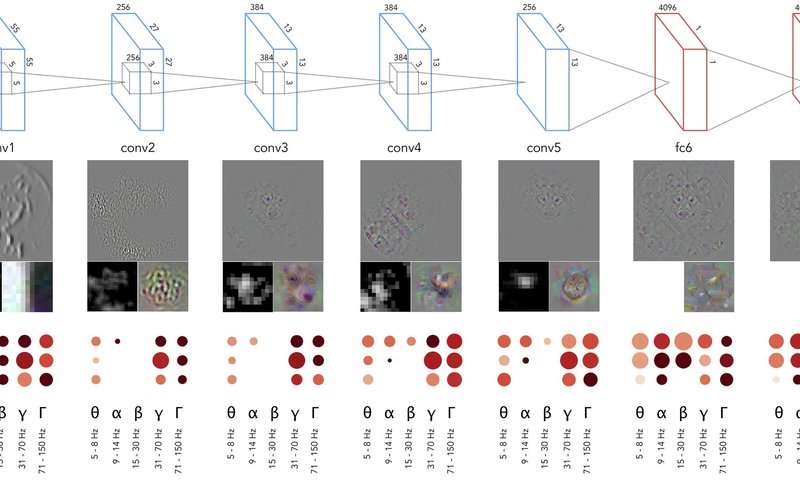 Neural net activations are aligned with gamma band activity of the human visual cortex