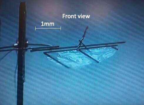 New designs for jumping and wing-flapping microrobots