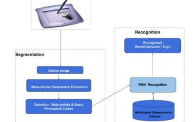 New models for handwriting recognition in online Latin and Arabic scripts