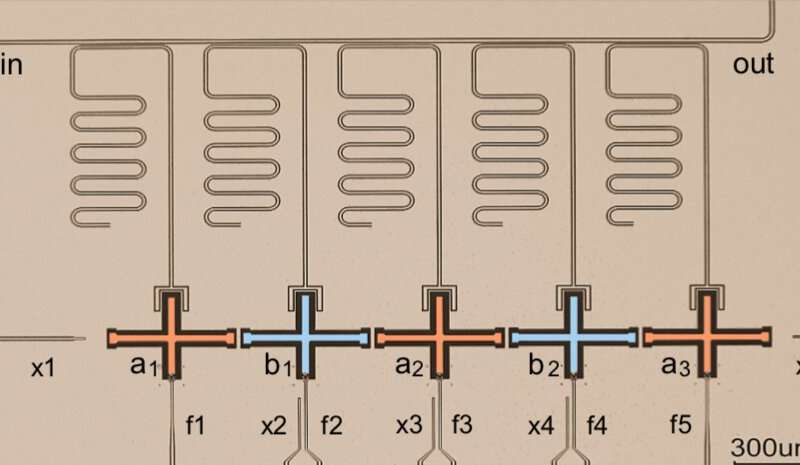 Observing topological magnon insulator states in a superconducting circuit