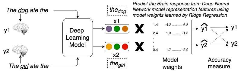 Relating sentence representations in deep neural networks with those encoded by the brain