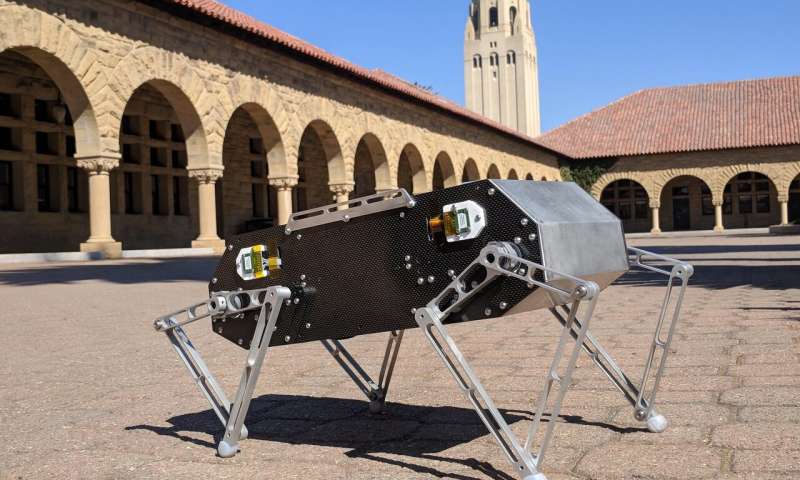 Stanford Doggo: a highly agile quadruped robot