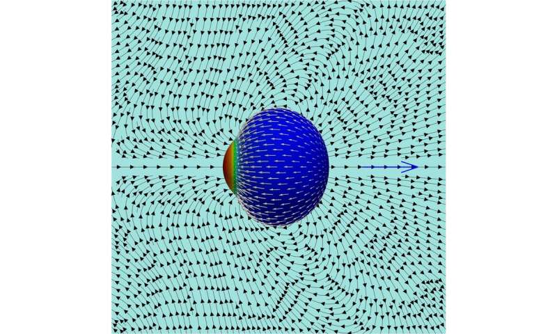 Studying a cell’s crawling motion in a fluid