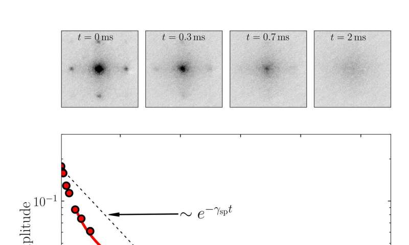 Study observes anomalous decay of coherence in a dissipative many-body system