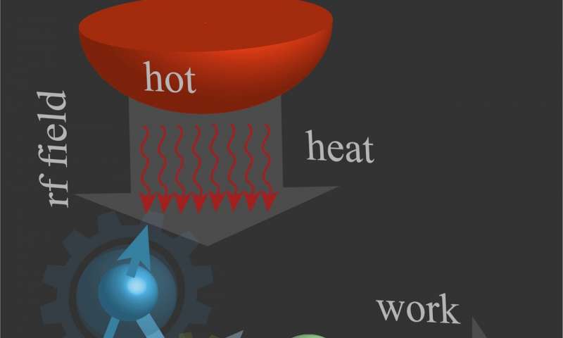 The experimental observation of echoes in a single molecule