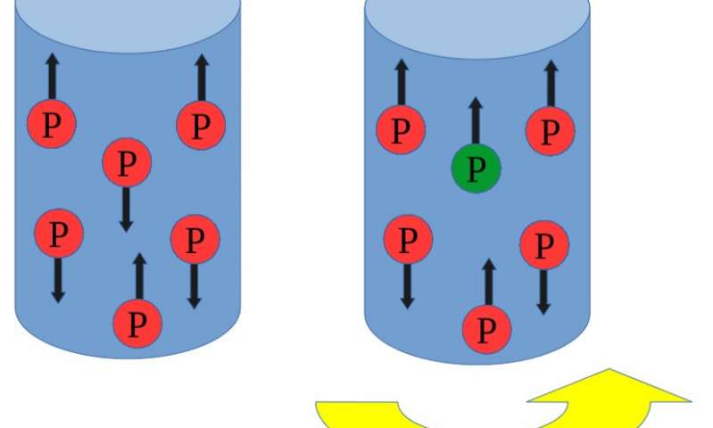 The first observation of the nuclear Barnett effect