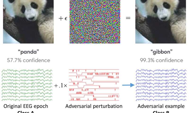 Study unveils security vulnerabilities in EEG-based brain-computer interfaces