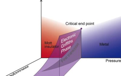 The ‘electronic Griffiths phase’ in solid-state physical systems