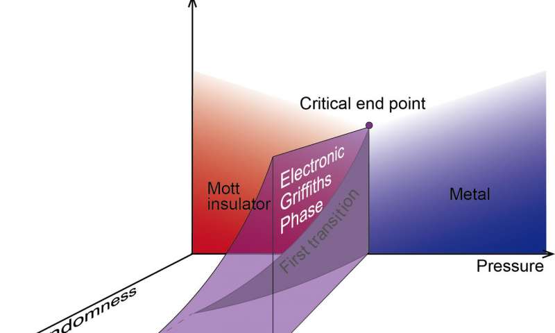 The ‘electronic Griffiths phase’ in solid-state physical systems