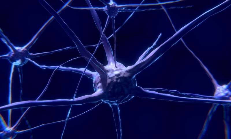 Investigating the role of ventral pallidum neurons in the basal ganglia
