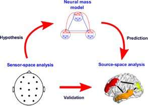 Investigating neural mechanisms underlying individual differences in perception