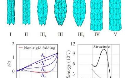 A model for the origami-inspired folding of a tubular waterbomb