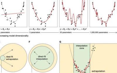 A perspective on the study of artificial and biological neural networks