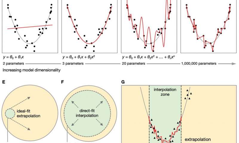 A perspective on the study of artificial and biological neural networks