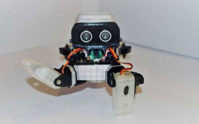 LoCoQuad: An arachnoid-inspired robot for research and education purposes