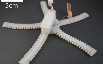 This is PATRICK: Meet the brittle star-inspired robot that can crawl underwater