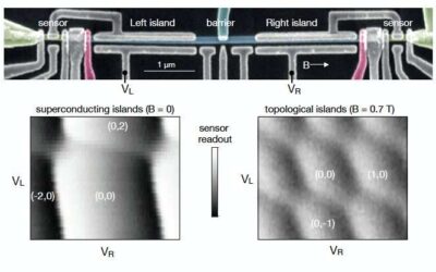 The observation of photon-assisted tunneling signatures in Majorana wires