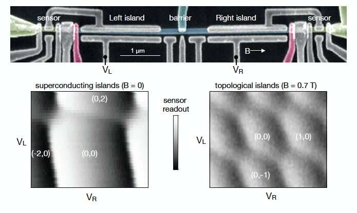 The observation of photon-assisted tunneling signatures in Majorana wires