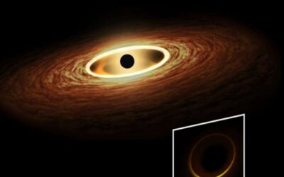 A new theorem predicts that stationary black holes must have at least one light ring