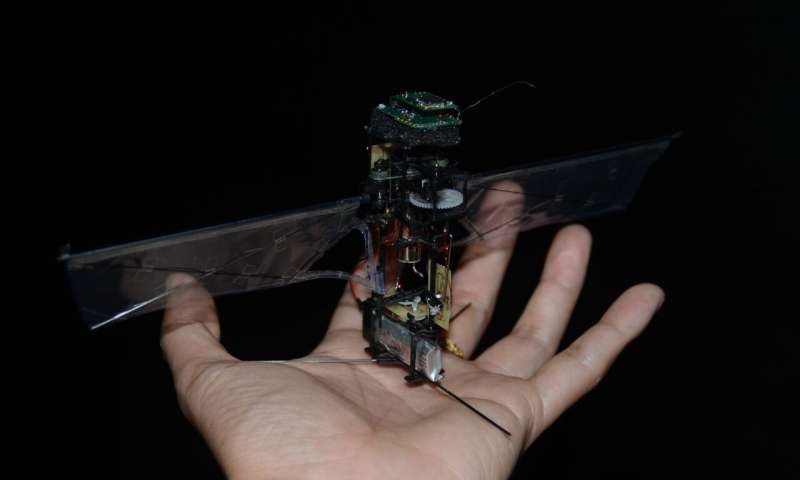 KUBeetle-S: An insect-inspired robot that can fly for up to 9 minutes