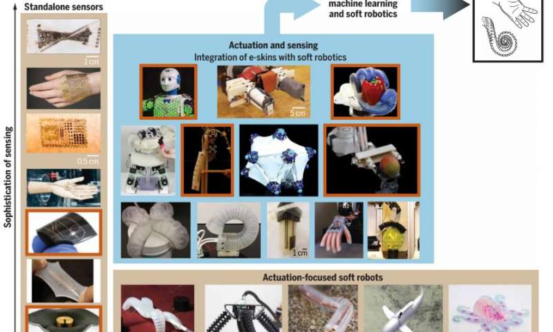 Reviewing progress in the development of machine learning-enhanced e-skins