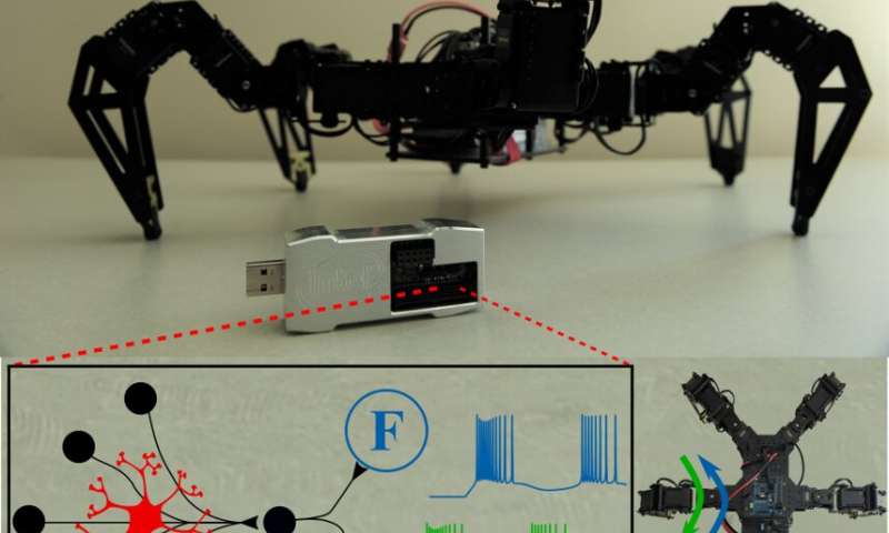 Using astrocytes to change the behavior of robots controlled by neuromorphic chips