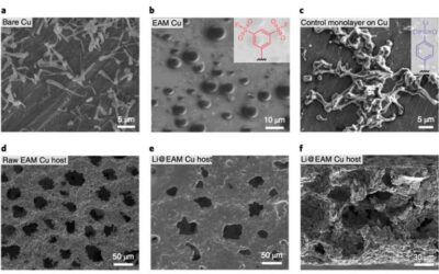 Lithium metal batteries that perform well at low temperatures