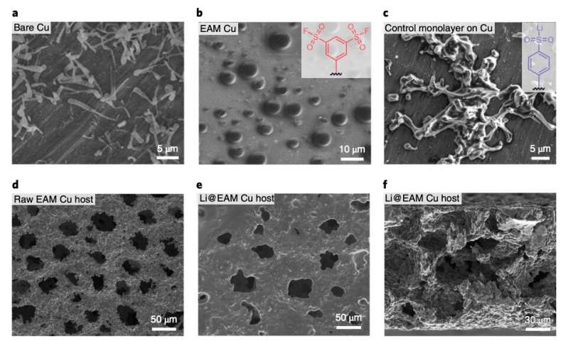 Lithium metal batteries that perform well at low temperatures