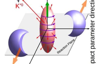 The first evidence of vector meson spin alignment in heavy-ion collisions