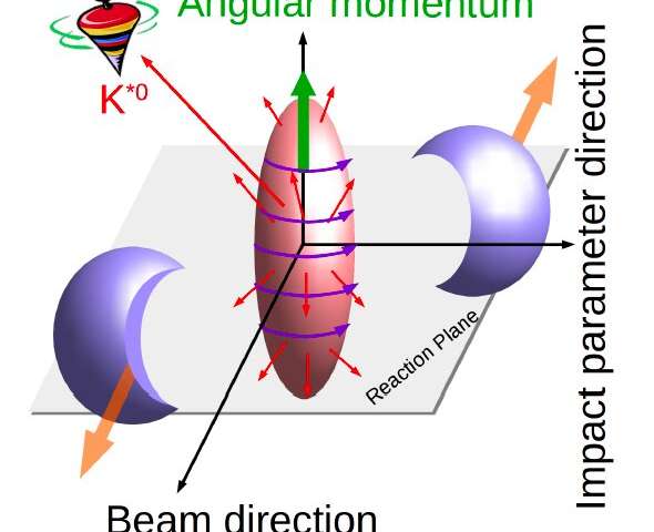 The first evidence of vector meson spin alignment in heavy-ion collisions