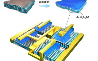 A new native oxide high-k gate dielectric for fabricating 2-D electronics