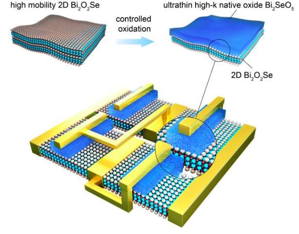 A new native oxide high-k gate dielectric for fabricating 2-D electronics