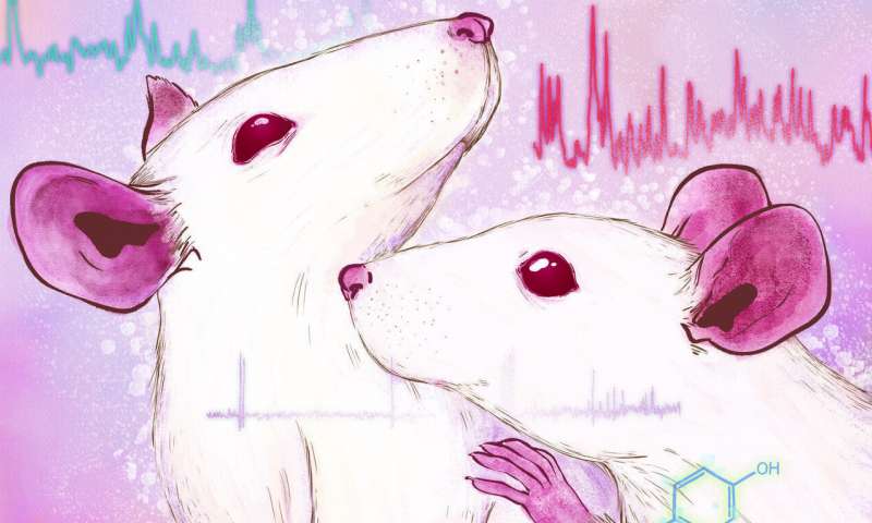 Exploring how social touch affects communication between female animals