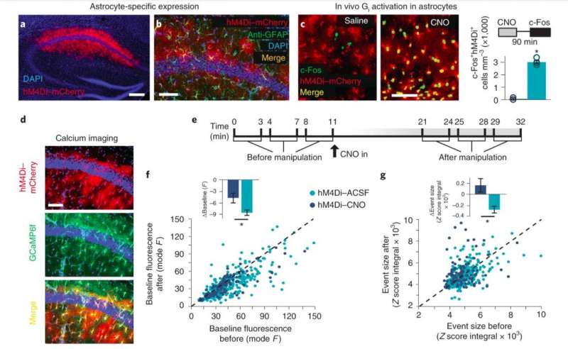 A quantum-inspired framework for video sentiment analysis