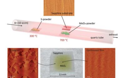 An operational amplifier fabricated using a 2-D semiconductor