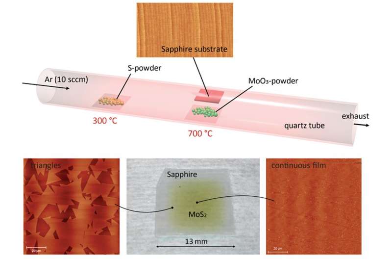 An operational amplifier fabricated using a 2-D semiconductor