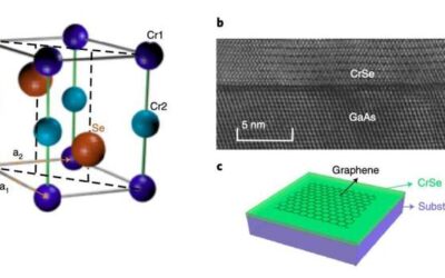 Large exchange splitting in monolayer graphene coupled to an antiferromagnet