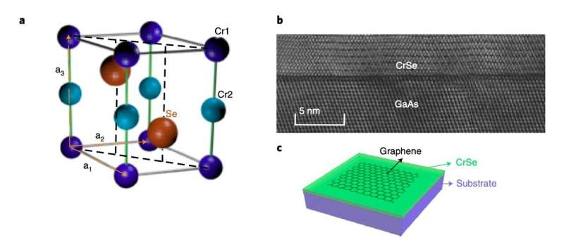 Large exchange splitting in monolayer graphene coupled to an antiferromagnet